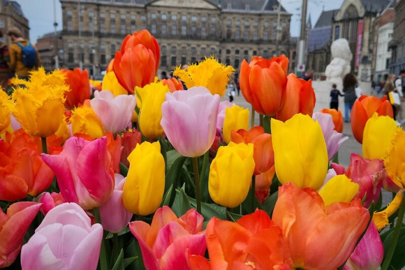 **Hoogste Uitkijkpunten in Pattaya voor een Adembenemend Uitzicht op de Neonlichten**
