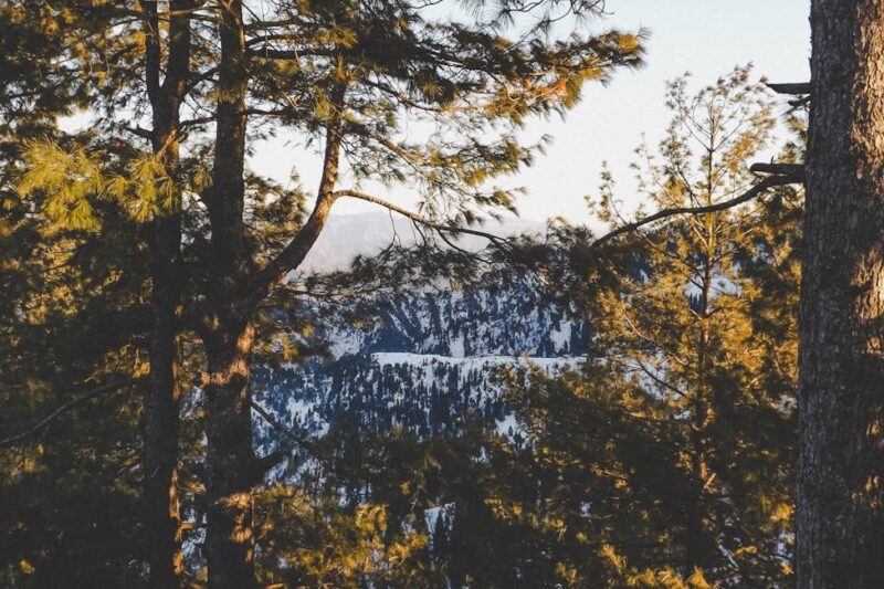 Pengalaman Malam Terbaik di Pattaya: Bar Bir Kerajinan dan Koktail untuk Penggemar Selain Klub Malam