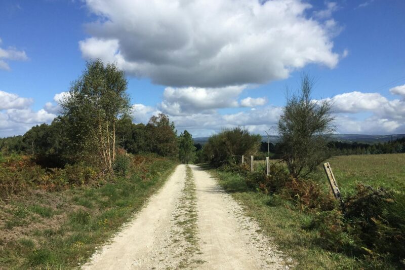 **Ist das Nachtleben in Pattaya auch unter der Woche aktiv? Die besten Montagabend-Spots**