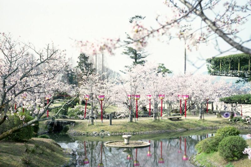 パタヤのナイトライフは平日にも活発ですか？ 月曜日のおすすめスポット