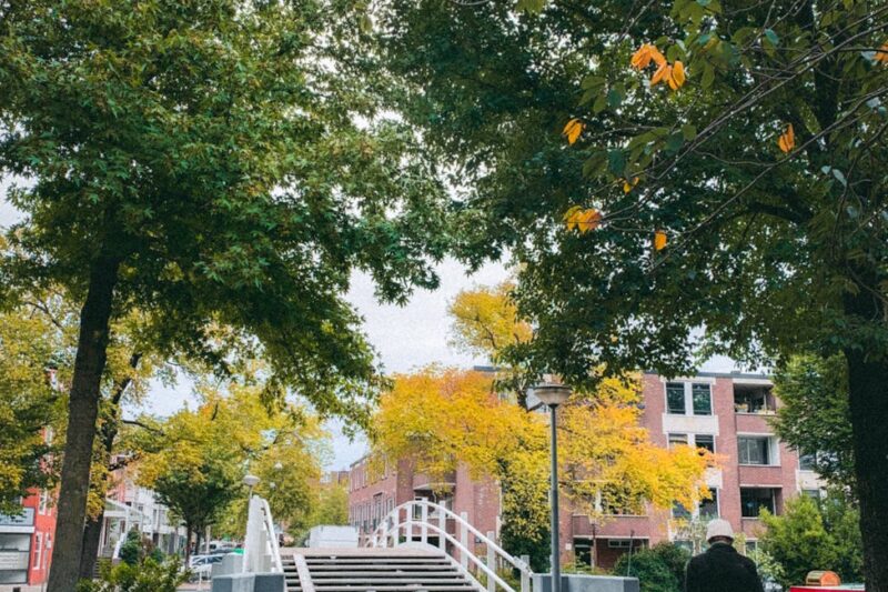 Pattaya’s Nachtleven: De Beste Plekken voor een Levendige Maandagavond