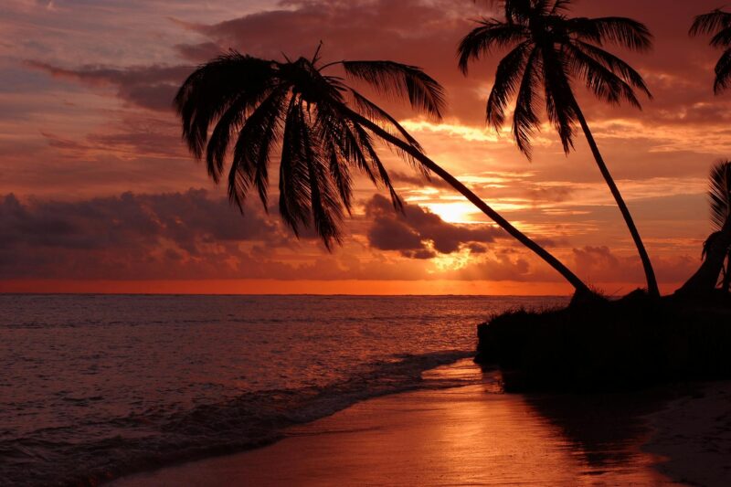 Los mejores clubes de playa en Pattaya para una vibra diurna que dura toda la noche