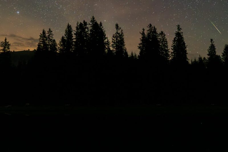 Jomtien Plajı Gece Hayatı Rehberi: Pattaya Şehri’ne Daha Sakin Bir Alternatif